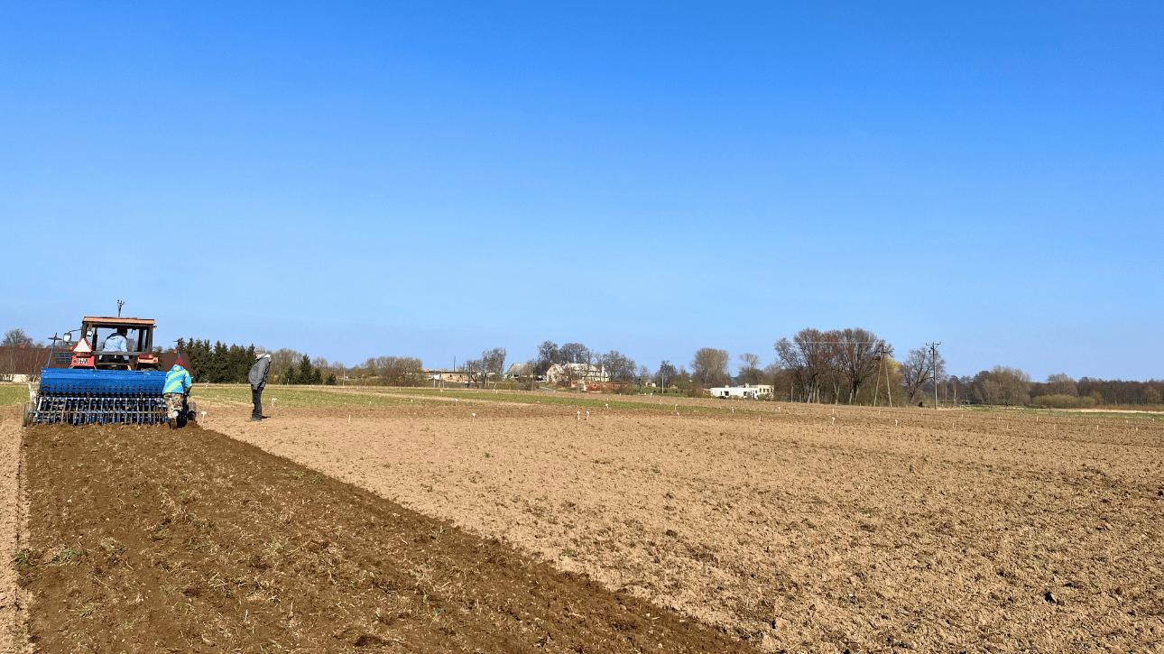 Zasiewy wiosenne doświadczeń